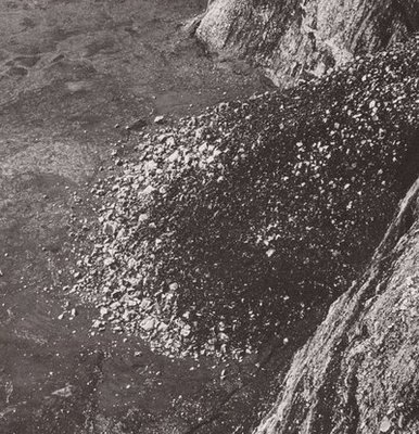 mus000378529.jpg