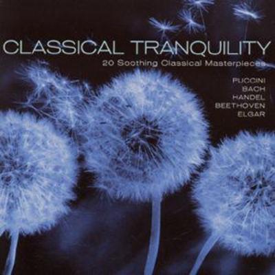 Various Composers - Classical Tranquility CD Album - Used