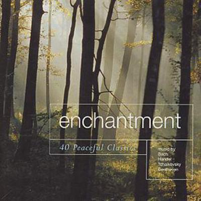 Various Composers - Enchantment - 40 Peaceful Classics CD Album - Used