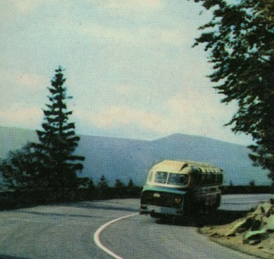 MUS000512404.jpg