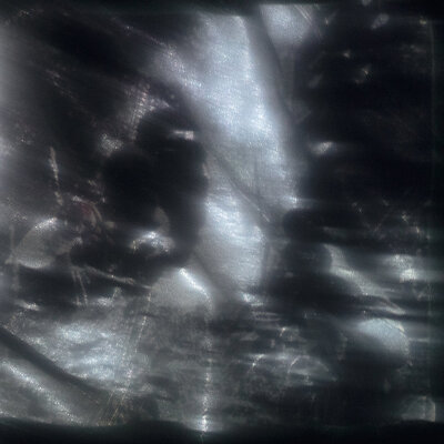 MUS000697368.jpg
