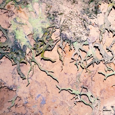 MUS000780141.jpg