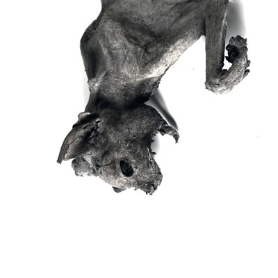 MUS000555546.jpg
