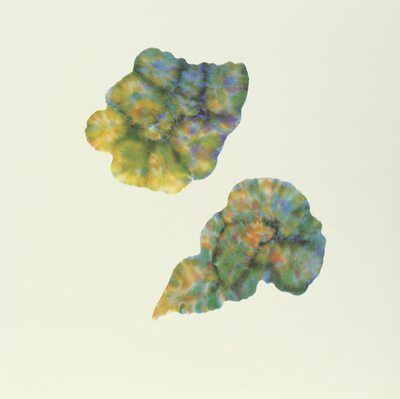MUS000749112.jpg