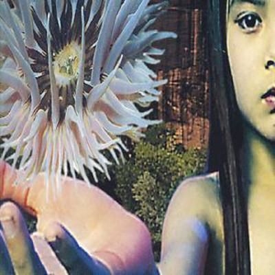The Future Sound of London - Lifeforms CD Album - Used