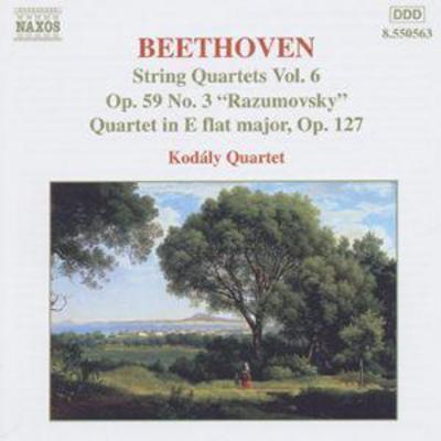Ludwig van Beethoven - String Quartets Vol. 6 CD Album - Used