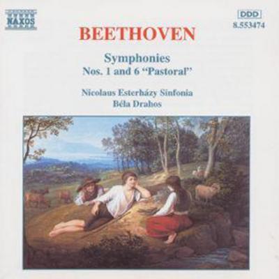 Ludwig van Beethoven - Beethoven CD Album - Used