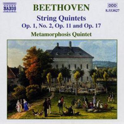 String Quintets (Metamorphosis Quintet of Budapest) CD Album - Used