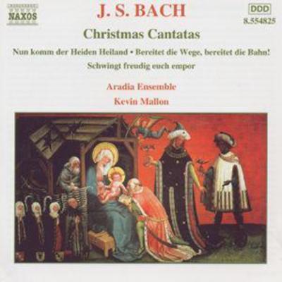 Johann Sebastian Bach - 18 CD Album - Used