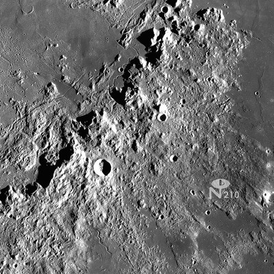 MUS000592015.jpg