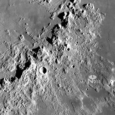 MUS000739843.jpg
