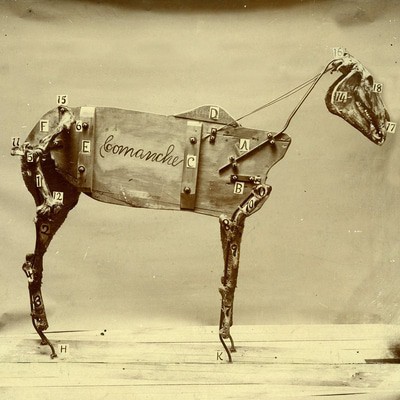 MUS000430717.jpg