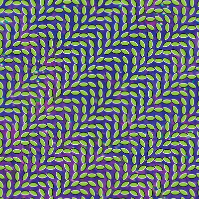 MUS000305594.jpg
