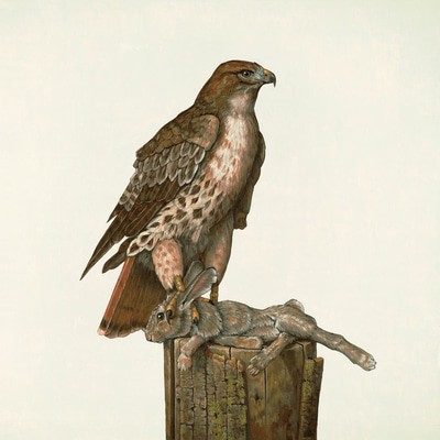 MUS000621155.jpg