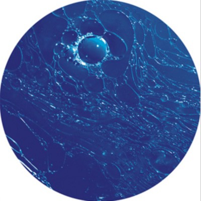 mus000461133.jpg