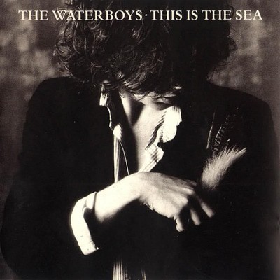 The Waterboys - This Is the Sea CD Album - Used