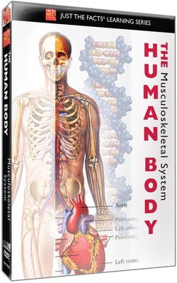 Just the Facts: The Human Body - Musculoskeletal System - DVD - Used