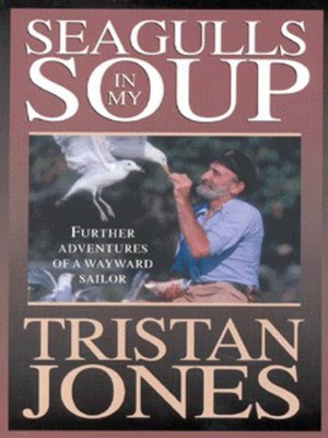 9780713653106.jpg