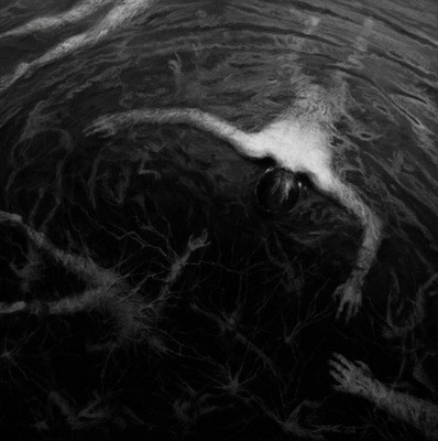 MUS000584338.jpg