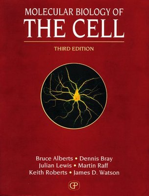 9780815316206.jpg