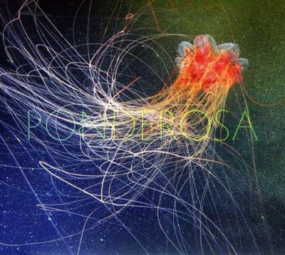 Ponderosa - Pool Party CD Album - Used