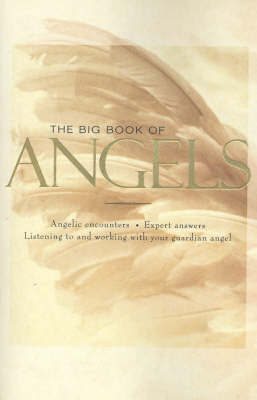 Big Book of Angels - Hinkler Books PTY Ltd - Paperback - Used