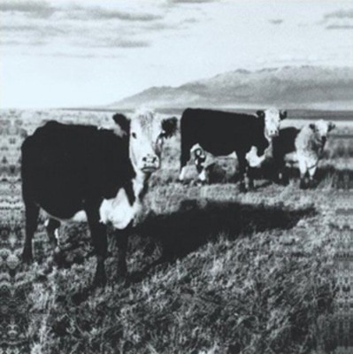 mus000303267.jpg