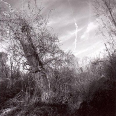 mus000354333.jpg