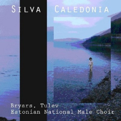 Gavin Bryars - Silva Caledonia CD Album - Used