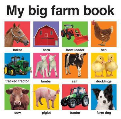 9781849154246.jpg