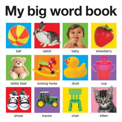 9781849155991.jpg