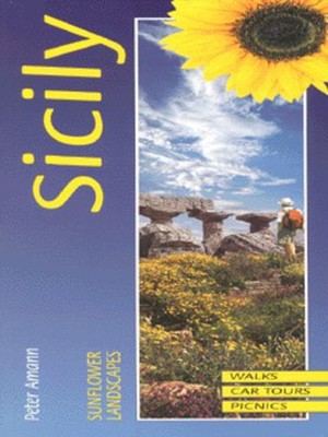 9781856911580.jpg