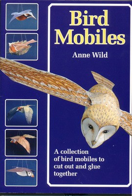 9781899618040.jpg