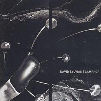 David Sylvian - Camphor CD Album - Used