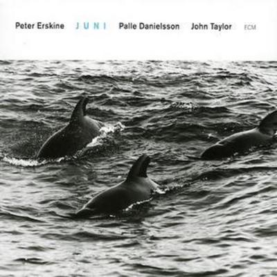 Peter Erskine - Juni CD Album - Used