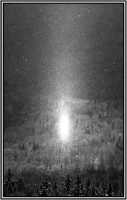 MUS000805812.jpg