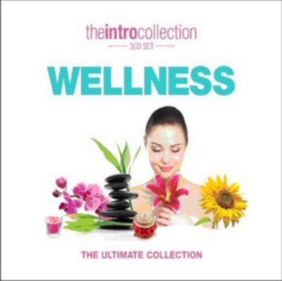 Various Artists - Wellness CD Album - Used