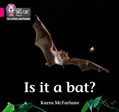 Is it a bat? - Karra McFarlane - Paperback - Used