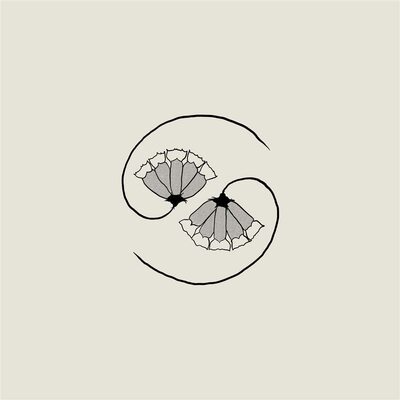 Godspeed You! Black Emperor — G_d'S Pee at State'S End!