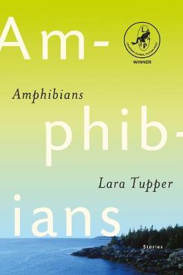 9781911673088.jpg