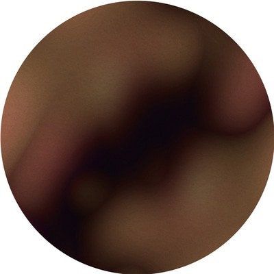 MUS000491084.jpg