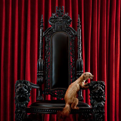 MUS000797593.jpg