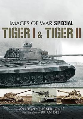 9781781590300.jpg