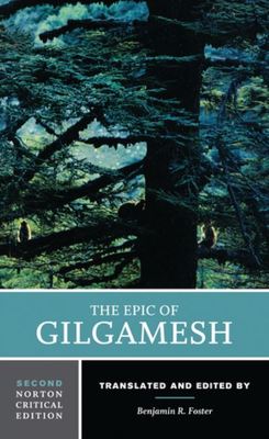 9780393643985.jpg