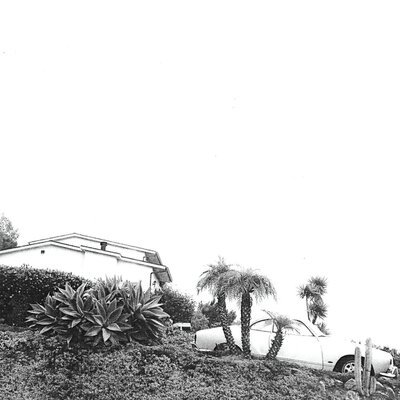 MUS000662852.jpg