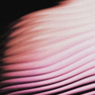 MUS000752921.jpg