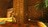 tombraideritoiiiremastered491697.jpg