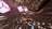 transformersgalactictrialsscreens491994.jpg