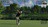 thegolfclu429065.jpg