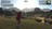 thegolfclu429065.jpg
